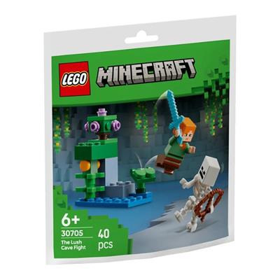 LEGO Minecraft - Kampen I Den Frodig Hule