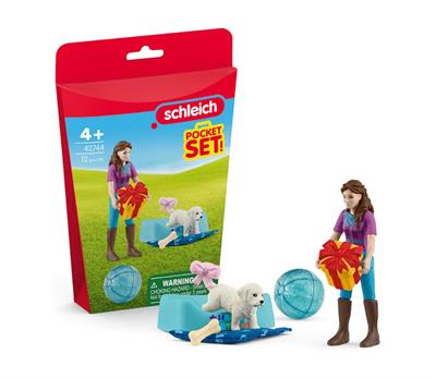 Schleich - Pocket Set Birthday (42744)