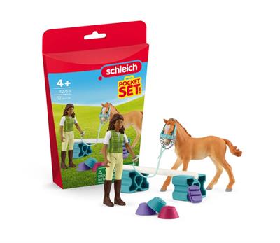 Schleich - Pocket Set Training (42756)