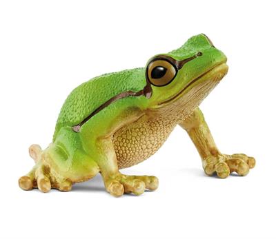 Schleich - European Tree Frog (14882)
