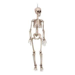 Hængende Skelet (90 cm)