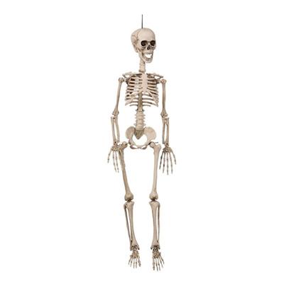 Hængende Skelet (90 cm)