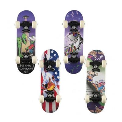 mini-skateboard-california