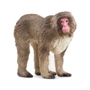 Schleich - Japansk Makak Abe