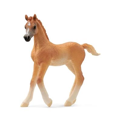 Schleich - Araberføl