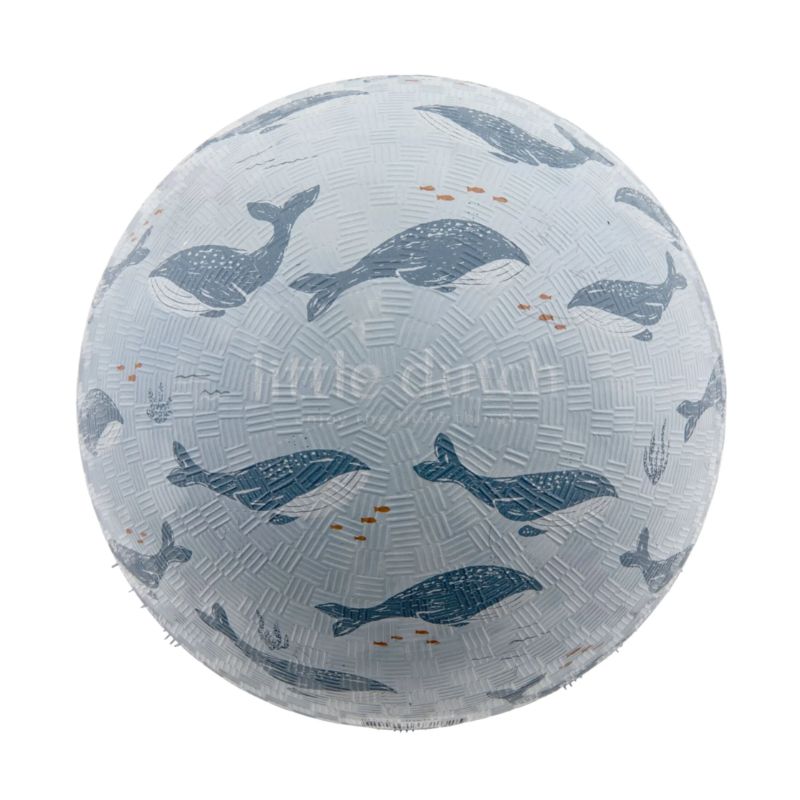Little Dutch bold ocean world
